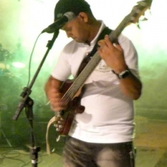 Banda Flor de Araçá