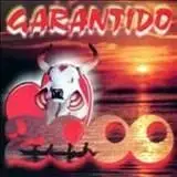 Garantindo 2000