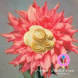 RE*PINK (BONNIE PINK REMIXES)