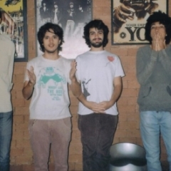 Boogarins