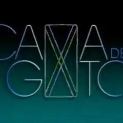 Cama de Gato (novela)