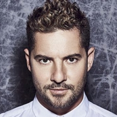 David Bisbal