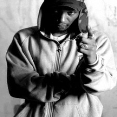 Del The Funky Homosapien