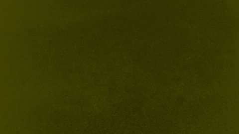 Kendrick Lamar, Loretta Lynn e Nada Surf est&atilde;o nos "Lan&ccedil;amentos da Semana"