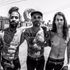 FEVER 333