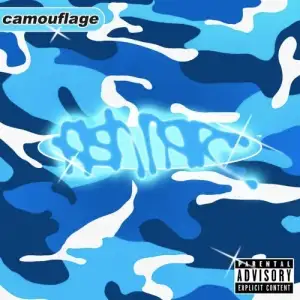 Camouflage