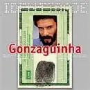 Série Identidade: Gonzaguinha