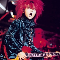 Hide