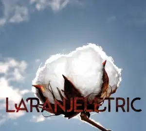 Laranjeletric