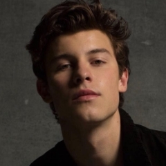 Shawn Mendes