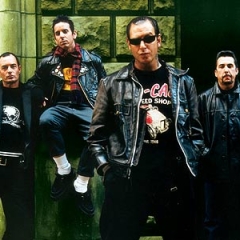 Social Distortion