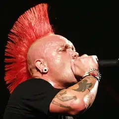 The Exploited