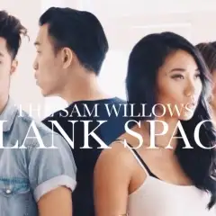 The Sam Willows