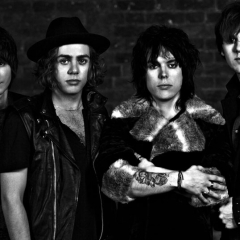 The Struts