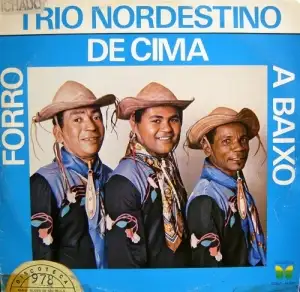 Forró De Cima A Baixo