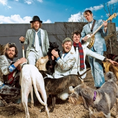 Dr. Dog