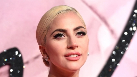 Lady Gaga se une &agrave; Organiza&ccedil;&atilde;o Mundial da Sa&uacute;de para organizar festival online beneficente