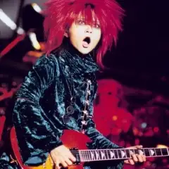 Hide