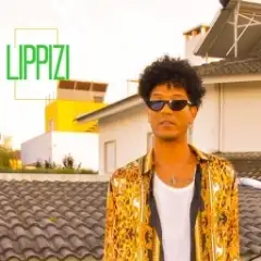 Lippizi