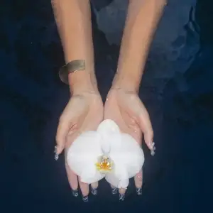 orchids (lullabies)