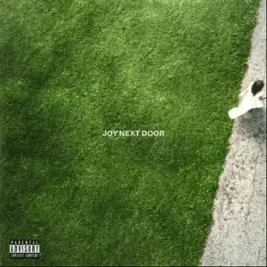 Joy Next Door