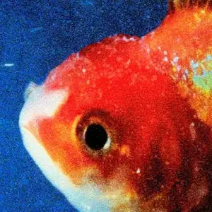 Big Fish Theory