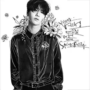 Spring Falling - The 2nd Mini Album - EP